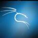 kali linux indir