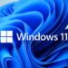 Windows 11 Business Edition İndir – Final Msdn Türkçe İSO