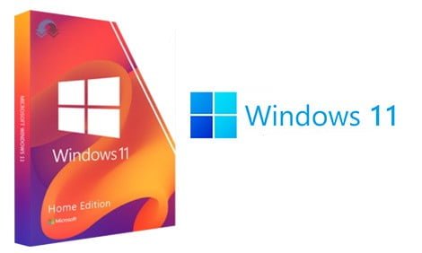 Windows 11 consumer edition