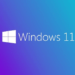 Windows 11 Tüm Sürümler İndir TPM Fix